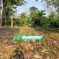  Land for sale in Cunduacan, Tabasco, Cunduacan