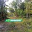  Land for sale in Cunduacan, Tabasco, Cunduacan
