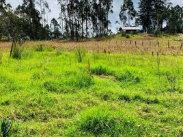  Terreno (Parcela) en venta en Azuay, Nulti, Cuenca, Azuay