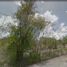  Land for sale in Agualeguas, Nuevo Leon, Agualeguas
