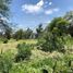  Land for sale in Agualeguas, Nuevo Leon, Agualeguas