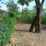  Land for sale in Pamulang, Banten, Pamulang