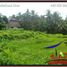  Land for sale in Ubud, Gianyar, Ubud