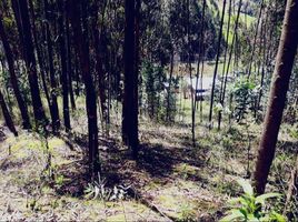  Land for sale in Banos, Cuenca, Banos