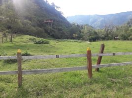  Terreno (Parcela) en venta en Manizales, Caldas, Manizales