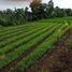  Terreno (Parcela) en venta en Padalarang, West Jawa, Padalarang