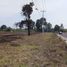 在Dist Yautepec, Oaxaca出售的 土地, Dist Yautepec