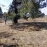  Land for sale in Dist Yautepec, Oaxaca, Dist Yautepec