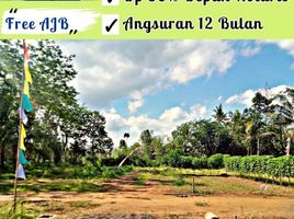  Land for sale in Malang Regency, East Jawa, Kepanjen, Malang Regency