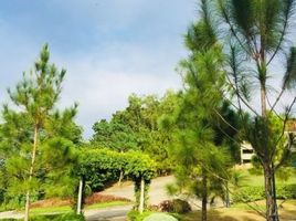  Land for sale in Cebu City, Central Visayas, Cebu City, Cebu, Central Visayas, Philippines