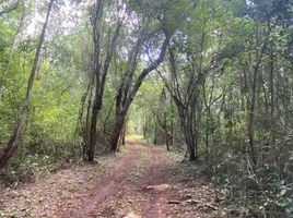  Terreno (Parcela) en venta en Mani, Yucatán, Mani