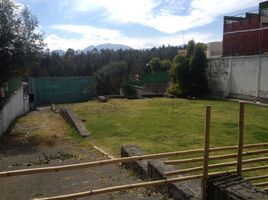  Terreno (Parcela) en venta en Miguel Hidalgo, Ciudad de México, Miguel Hidalgo