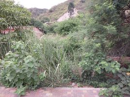  Land for sale in Manabi, Puerto Lopez, Puerto Lopez, Manabi