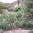  Land for sale in Puerto Lopez, Manabi, Puerto Lopez, Puerto Lopez