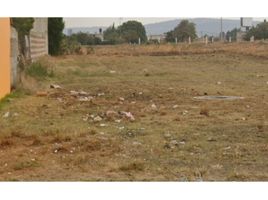  토지을(를) Tlaxcala에서 판매합니다., Nativitas, Tlaxcala