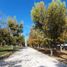  Terreno (Parcela) en venta en Durango, Durango, Durango, Durango