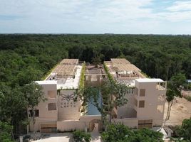 1 chambre Appartement for sale in Quintana Roo, Cozumel, Quintana Roo