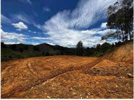  Terreno (Parcela) en venta en Guarne, Antioquia, Guarne