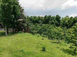  Land for sale in Alitagtag, Batangas, Alitagtag