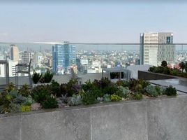3 Habitación Departamento en venta en Miguel Hidalgo, Ciudad de México, Miguel Hidalgo, Ciudad de México