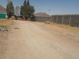  Grundstück zu verkaufen in Aquiles Serdan, Chihuahua, Aquiles Serdan
