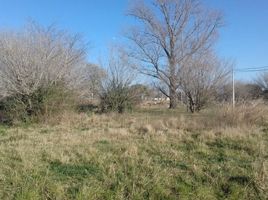  Land for sale in San Lorenzo, Santa Fe, San Lorenzo