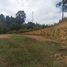  Land for sale in Rionegro, Antioquia, Rionegro