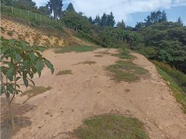  Terreno (Parcela) en venta en Rionegro, Antioquia, Rionegro