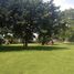 Studio House for sale in Miacatlan, Morelos, Miacatlan, Morelos