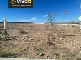  Land for rent in Aguascalientes, Aguascalientes, Aguascalientes, Aguascalientes