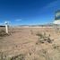  Land for rent in Aguascalientes, Aguascalientes, Aguascalientes, Aguascalientes