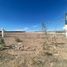  Land for rent in Aguascalientes, Aguascalientes, Aguascalientes, Aguascalientes