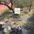  Land for sale in Jiutepec, Morelos, Jiutepec