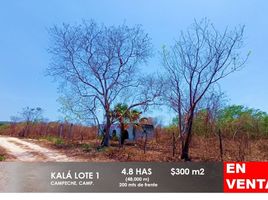  Land for sale in Campeche, Campeche, Campeche