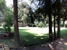  Grundstück zu verkaufen in Chapultepec, Mexico, Chapultepec