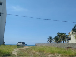 在Manzanillo, Colima出售的 土地, Manzanillo