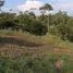  Land for sale in Cali, Valle Del Cauca, Cali