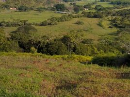  Terreno (Parcela) en venta en Valle Del Cauca, Cali, Valle Del Cauca