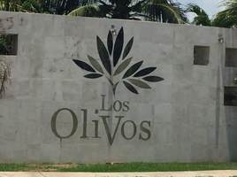 Condominium 3 chambre à vendre à Cozumel, Quintana Roo, Cozumel, Quintana Roo