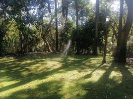  Terreno (Parcela) en venta en Huitzilac, Morelos, Huitzilac