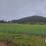  Land for sale in Cuautepec De Hinojosa, Hidalgo, Cuautepec De Hinojosa
