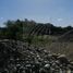 Land for sale in Allende, Nuevo Leon, Allende