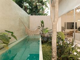 Maison 3 chambre à vendre à Merida, Yucatan, Merida