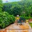 3 Bedroom House for sale in Hermosillo, Sonora, Hermosillo