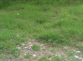  Land for sale in Sukabumi, West Jawa, Sukabumi, Sukabumi