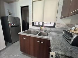 3 Habitación Departamento en alquiler en Miguel Hidalgo, Ciudad de México, Miguel Hidalgo, Ciudad de México