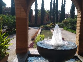 50 Schlafzimmer Haus zu verkaufen in Cuernavaca, Morelos, Cuernavaca