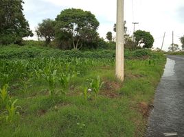  Terreno (Parcela) en venta en Totolapan, Morelos, Totolapan