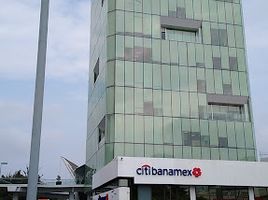 257 m² Office for rent in Morelia, Michoacán, Morelia
