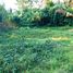  Land for sale in Selemadeg, Tabanan, Selemadeg